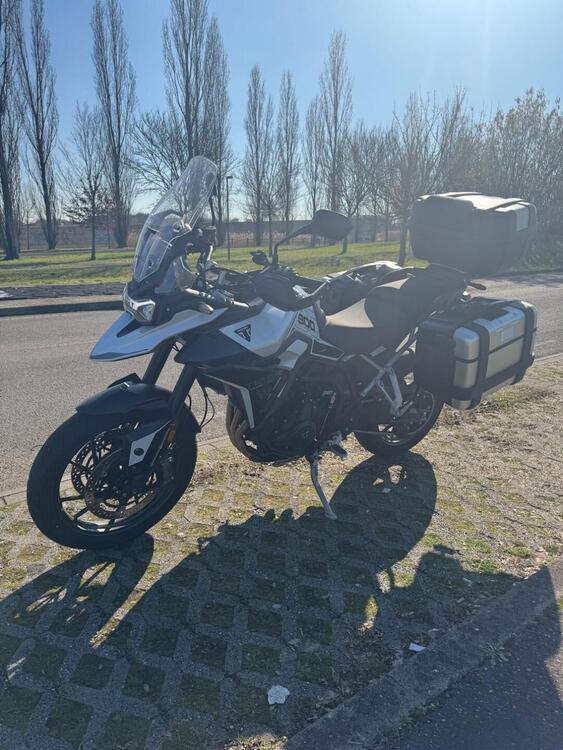 Triumph Tiger 900 GT (2024 - 25) (3)