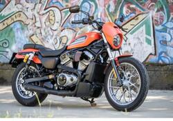 Harley-Davidson Nightster Special (2023 - 25) usata