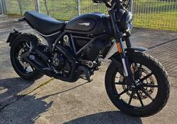 Ducati Scrambler 800 Icon (2021 - 22) usata