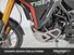 Triumph Tiger 900 Rally Pro (2024 - 25) (21)