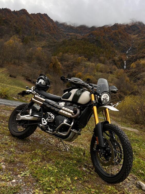 Triumph Scrambler 1200 XE (2019 - 20) (4)