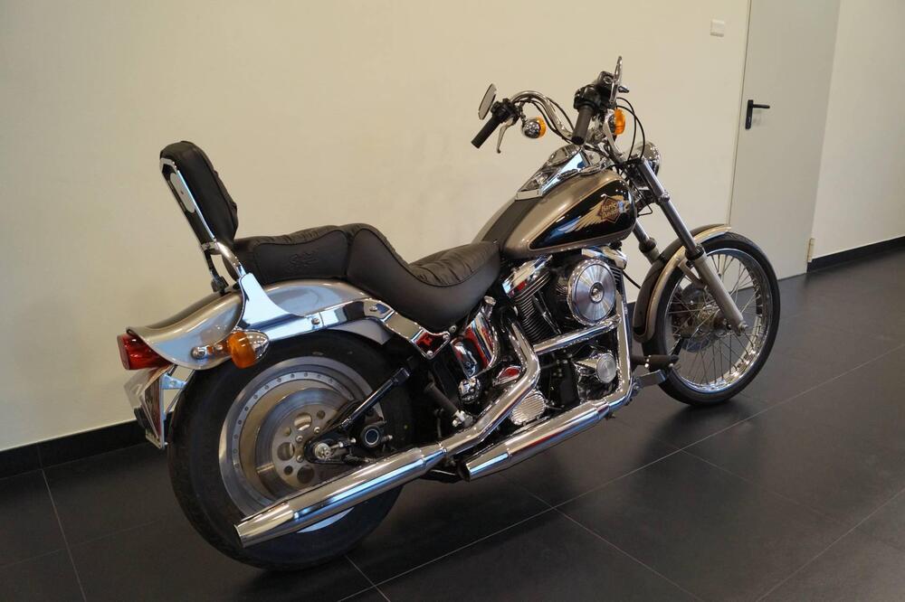 Harley-Davidson 1340 Custom (1989 - 98) (3)