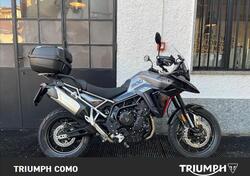 Triumph Tiger 900 GT (2024 - 25) usata