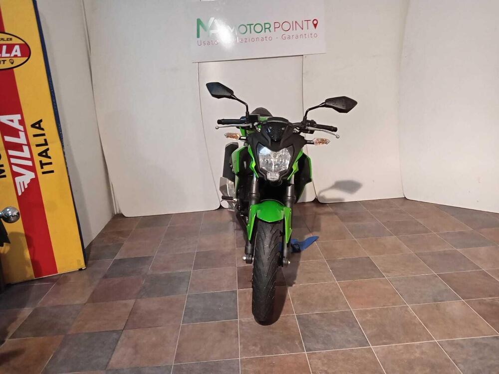 Kawasaki Z 250 SL ABS (2015 - 16) (3)