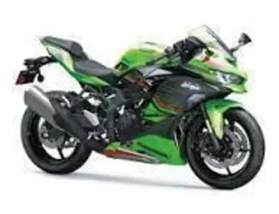 Kawasaki Ninja ZX-4RR (2024 - 26) nuova