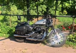 Harley-Davidson 883 Iron (2009 - 11) - XL 883N usata