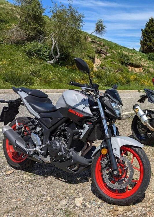 Yamaha MT-03 (2018 - 19) (2)