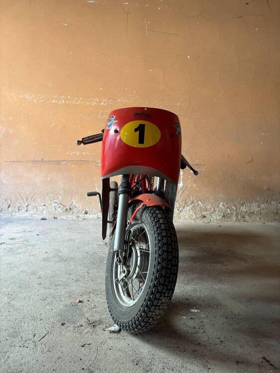 MV Agusta minimoto (4)