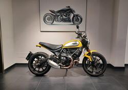 Ducati Scrambler 800 Icon (2017 - 20) usata