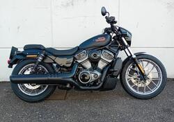 Harley-Davidson Nightster Special (2023 - 25) usata