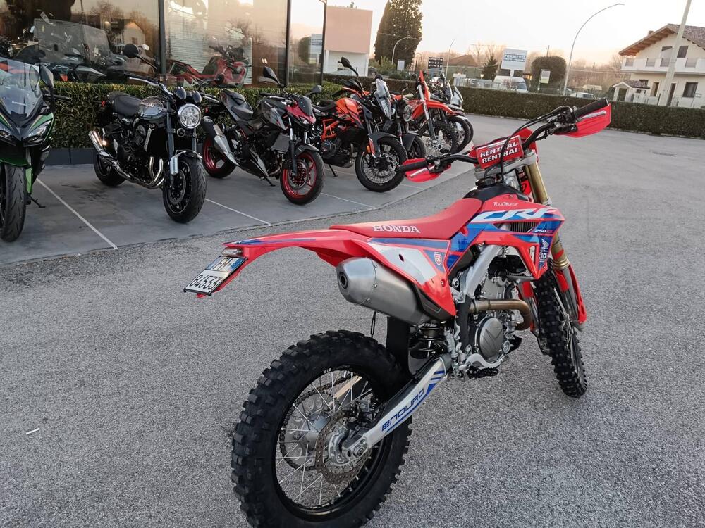 Honda CRF 250 RX Enduro (2024) (5)