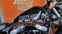 Harley-Davidson 1200 Forty-Eight (2010 - 15) (7)