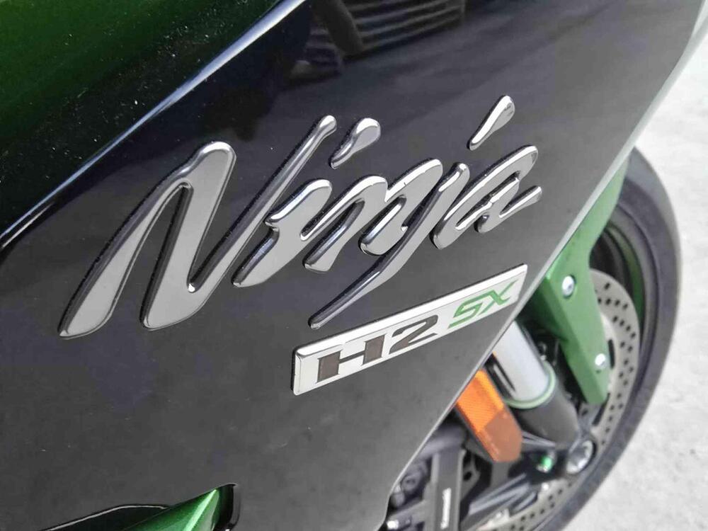 Kawasaki Ninja H2 SX (2018 - 20) (3)