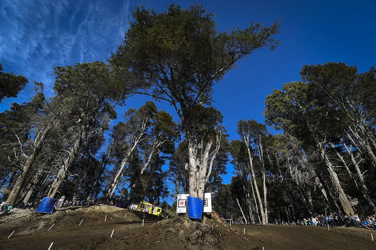 Motocross. Le foto più belle del GP d'Argentina (10)