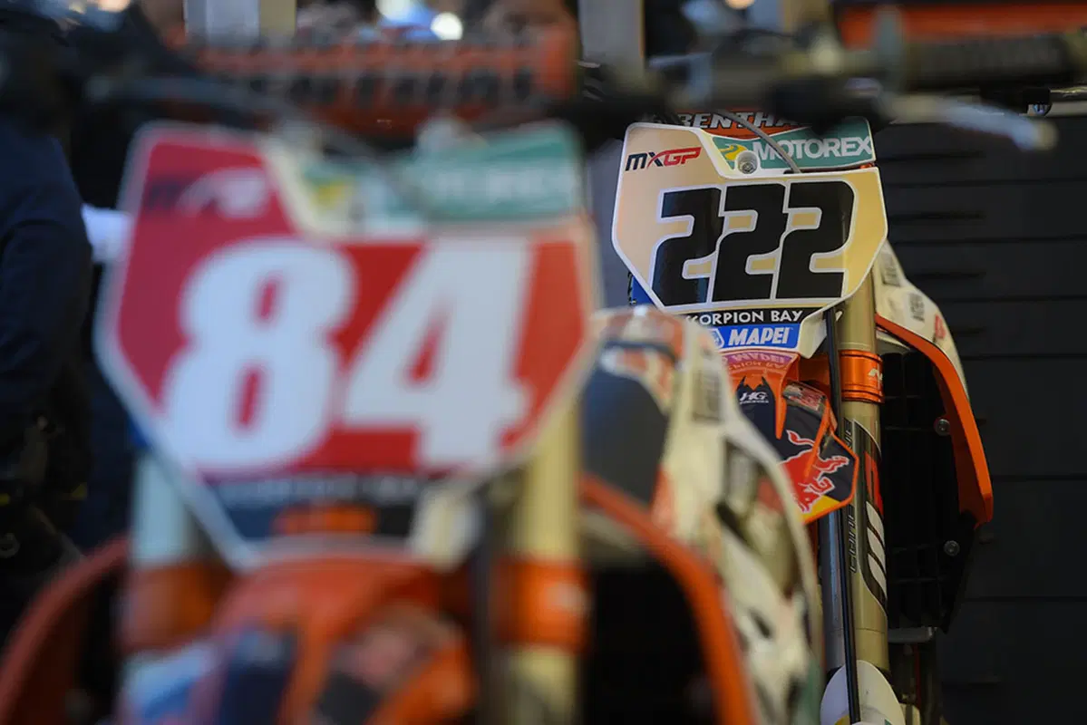 Motocross. Le foto più belle del GP d'Argentina (44)