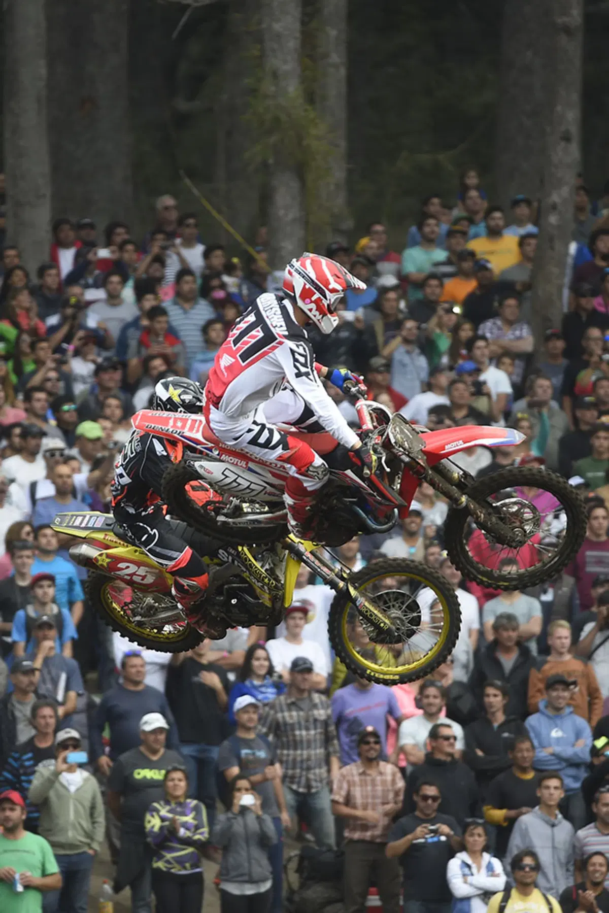 Motocross. Le foto più belle del GP d'Argentina (75)