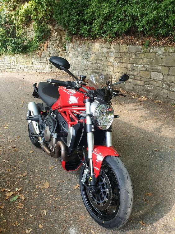 Ducati Monster 1200 (2014 - 16) (4)