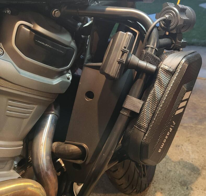 Harley-Davidson Pan America 1250 Special (2020 - 25) (3)