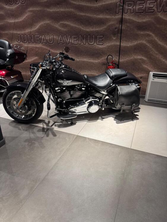 Harley-Davidson 114 FXDR (2019 - 20) (2)