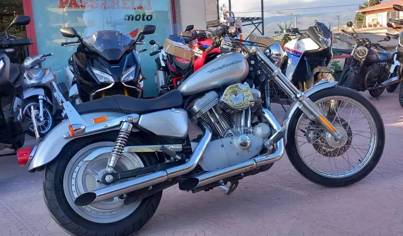 Harley-Davidson 883 (2006 - 07) - XL (2)