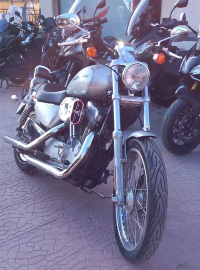 Harley-Davidson 883 (2006 - 07) - XL usata