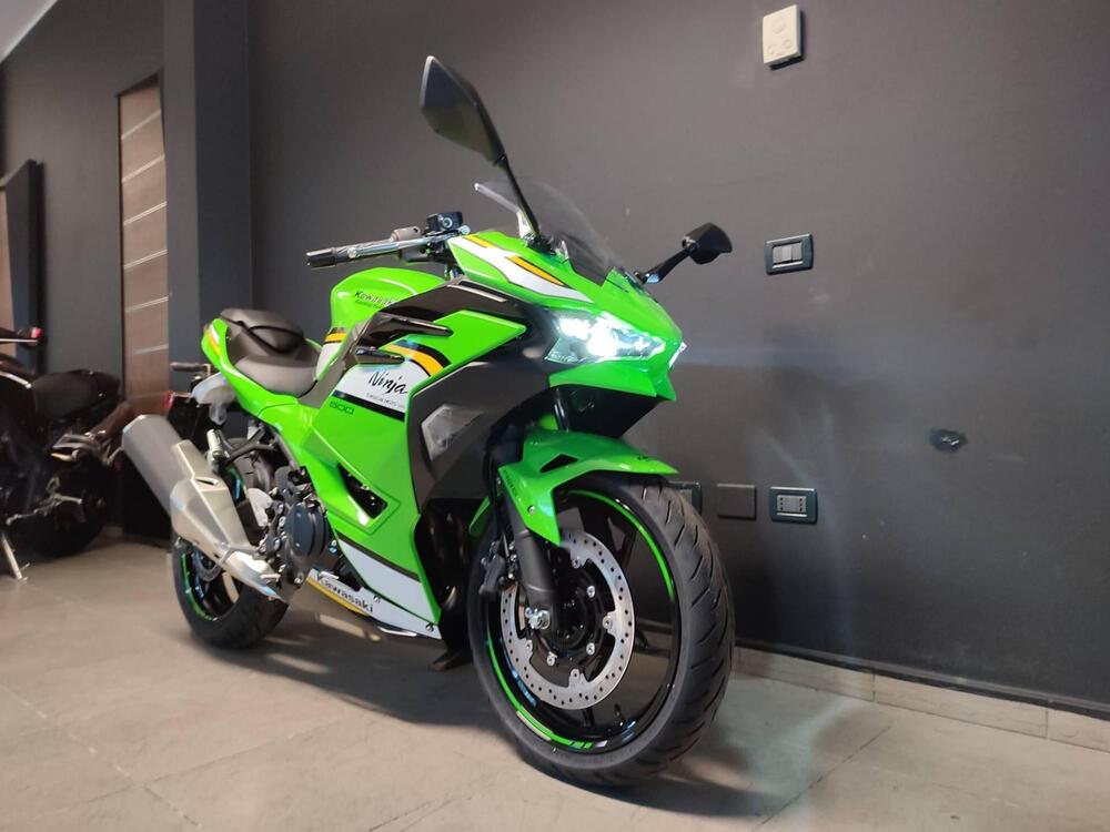 Kawasaki Ninja 500 SE (2024 - 25) (4)