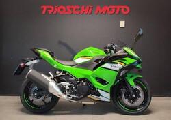 Kawasaki Ninja 500 SE (2024 - 25) nuova