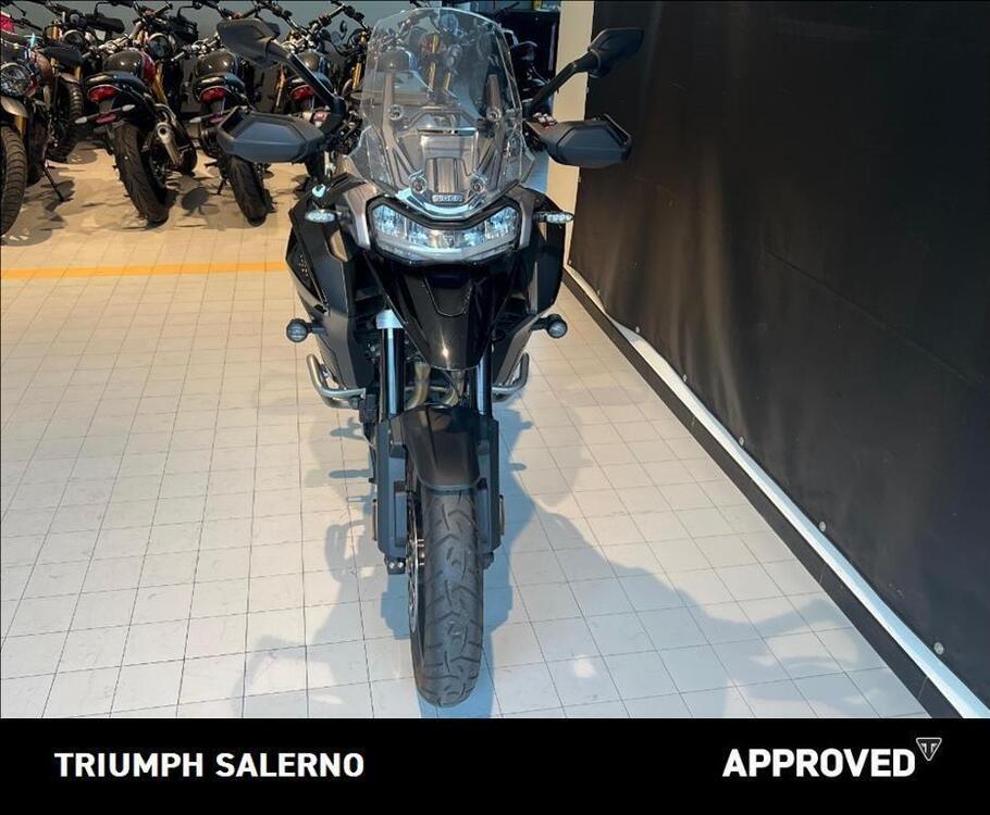 Triumph Tiger 1200 GT Explorer (2022 - 23) (3)