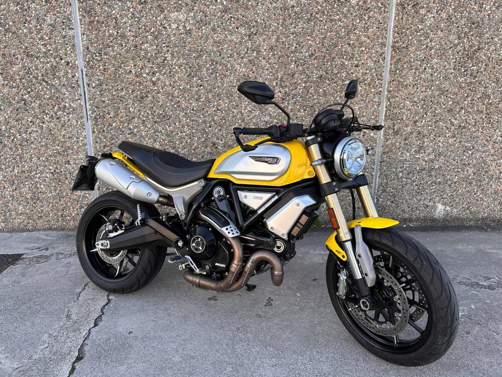 Ducati Scrambler 1100 (2018 - 20) (4)