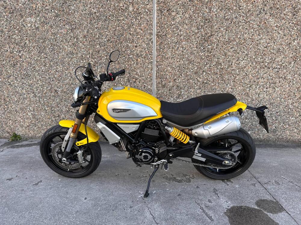 Ducati Scrambler 1100 (2018 - 20) (3)