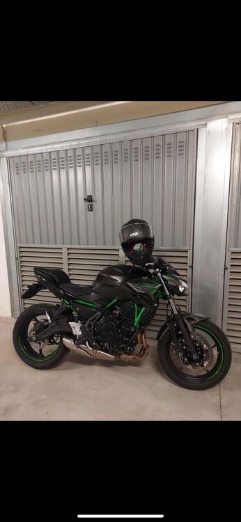 Kawasaki Z 650 (2021 - 24)