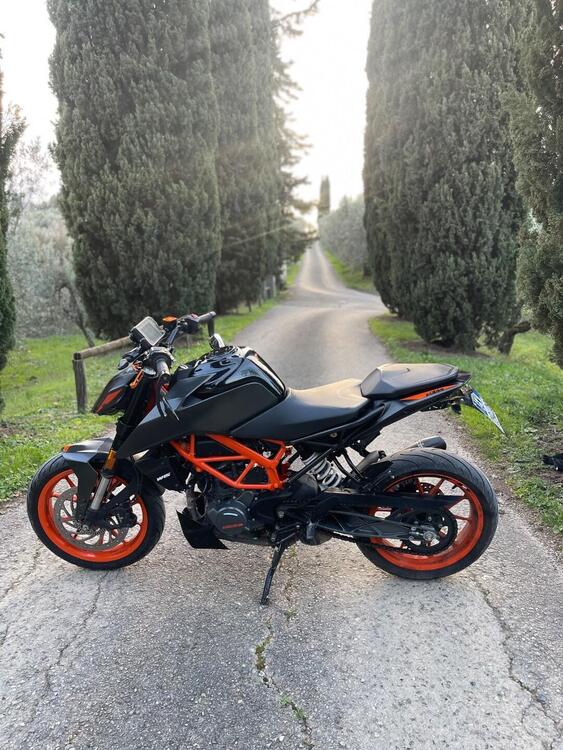 KTM 125 Duke (2021 - 23) (2)