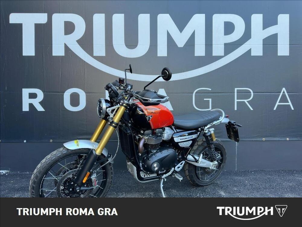 Triumph Scrambler 1200 XE (2024 - 25) (3)