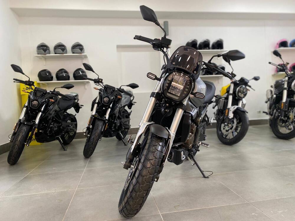 Voge Trofeo 300ACX Scrambler (2021 - 25) (5)