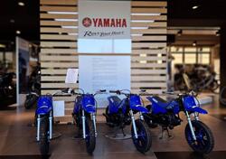 Yamaha PW 50 (2023) nuova