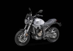 Voge Trofeo 300ACX Scrambler (2021 - 25) nuova