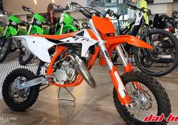 KTM 50 SX (2023) usata