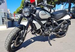 Ducati Scrambler 1100 Dark Pro (2020 - 24) usata