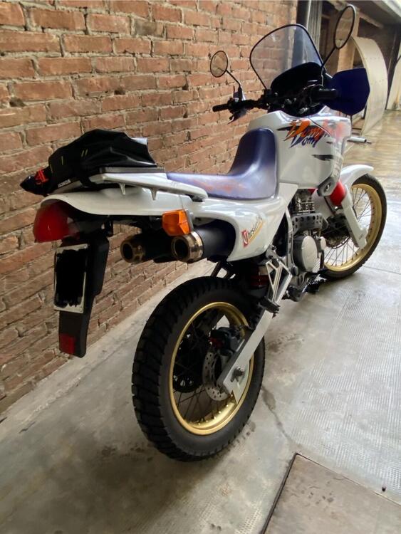 Honda NX 650 Dominator (1991 - 95) (2)