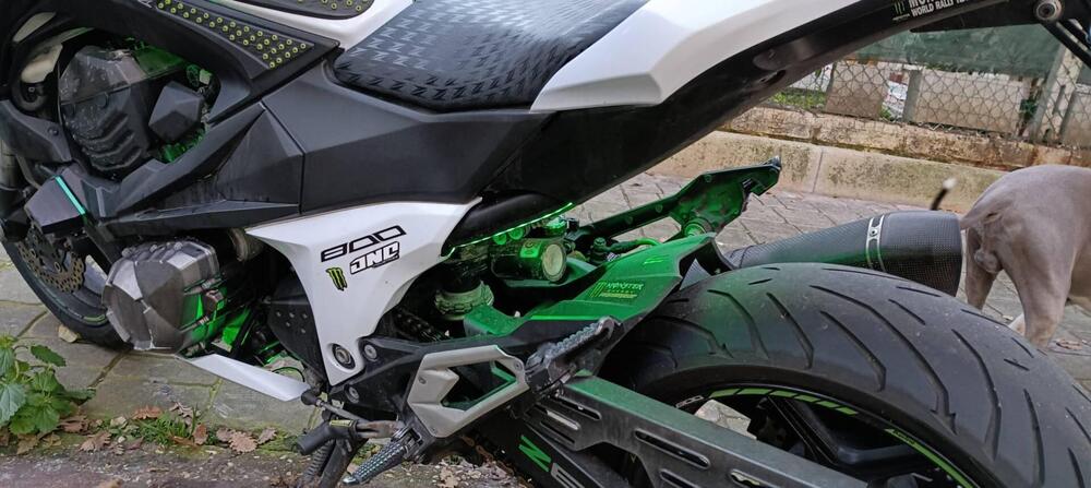 Kawasaki Z 800 Performance (2013 - 13) (3)