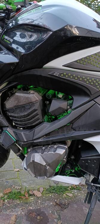 Kawasaki Z 800 Performance (2013 - 13) (4)