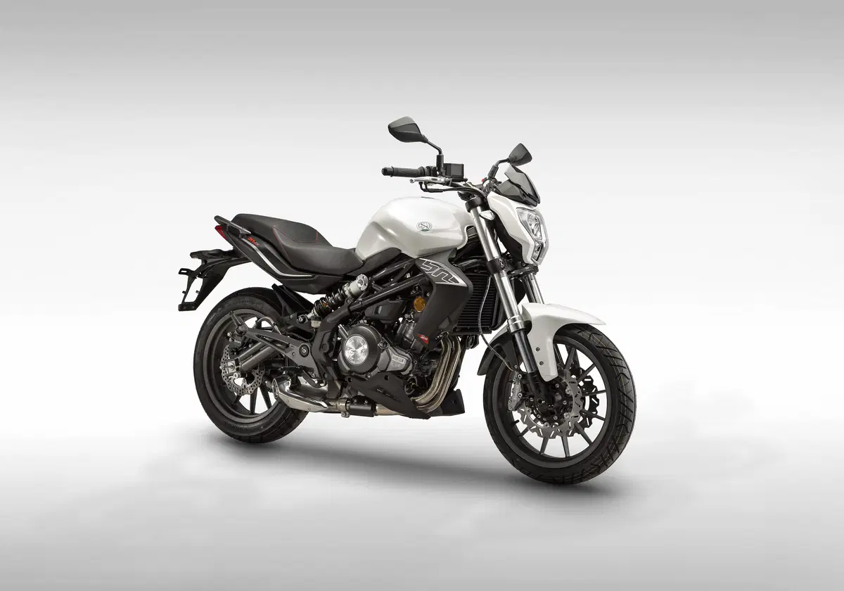 Benelli BN 302 (28)