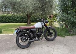 Mutt Motorcycles Mongrel 125 (2019 - 20) usata