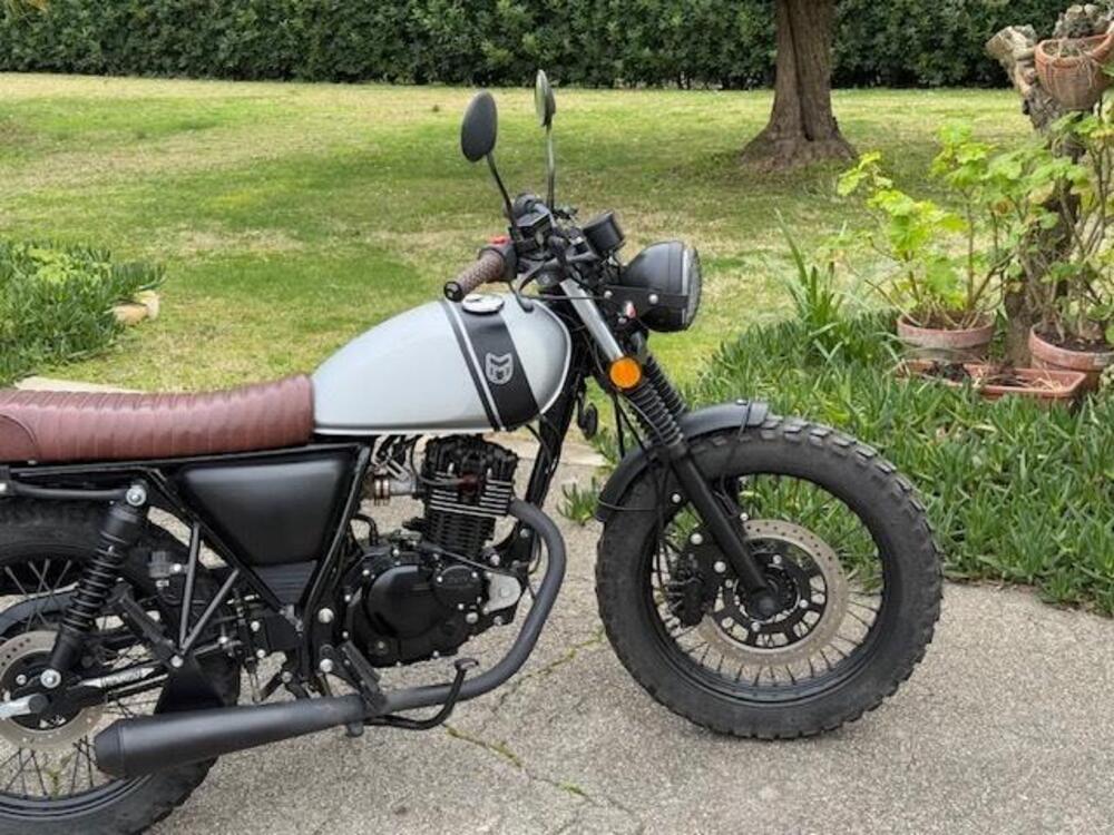 Mutt Motorcycles Mongrel 125 (2019 - 20) (3)