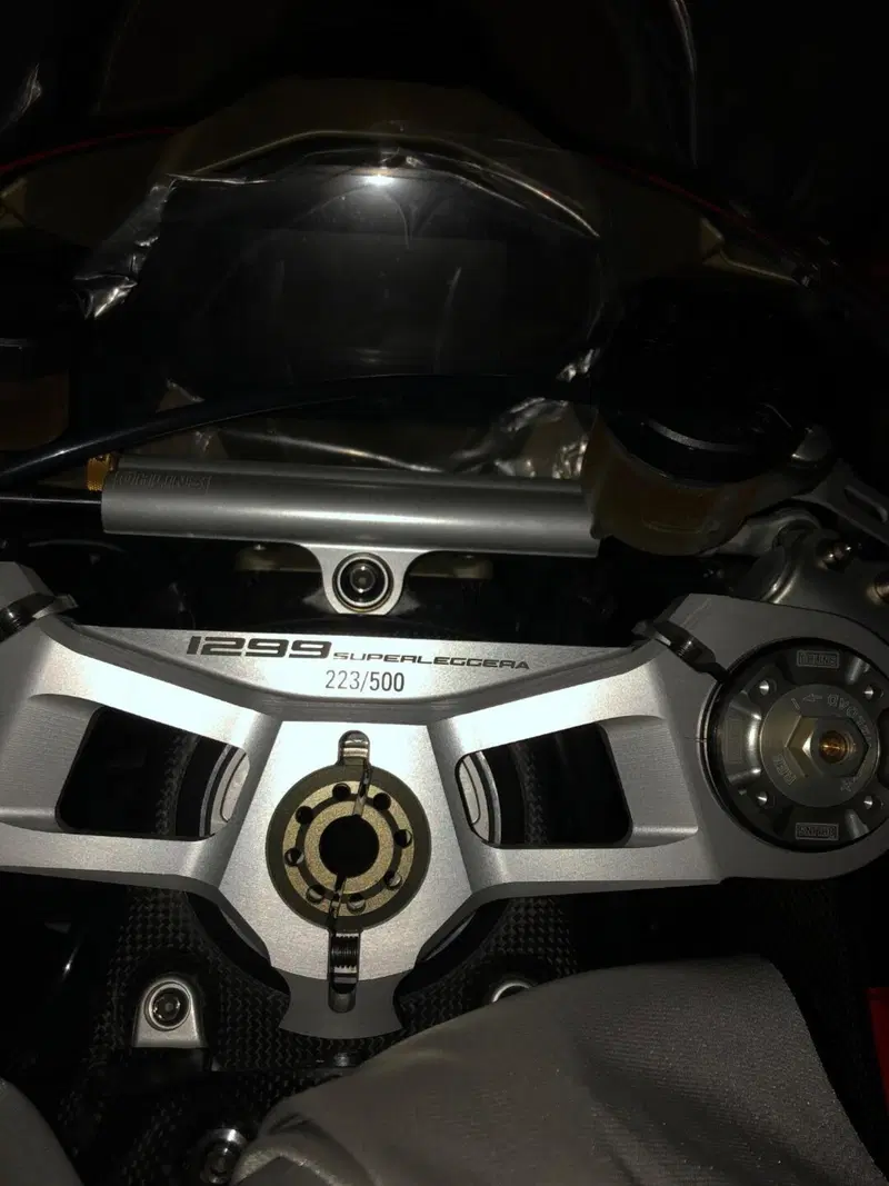 Ducati Superleggera 1299 (2017) (5)