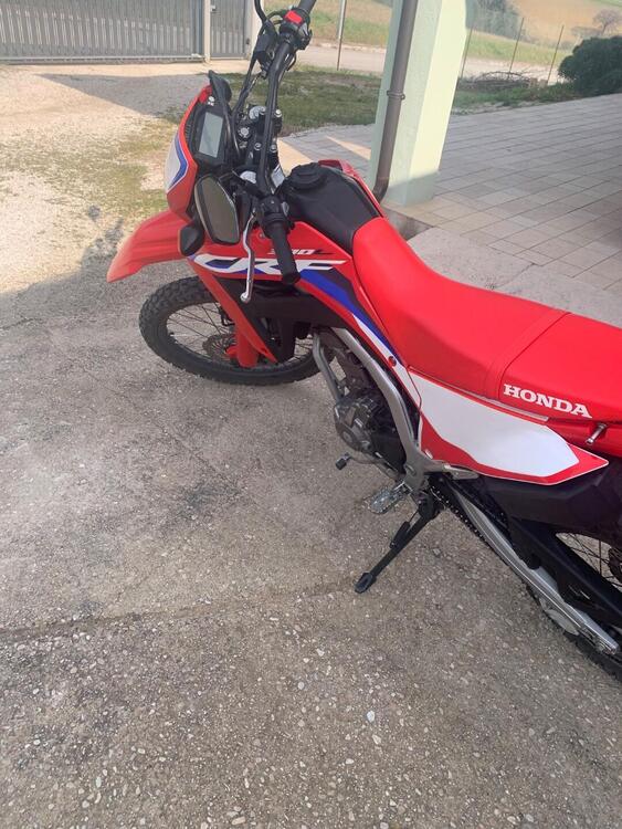 Honda CRF 300 L (2021 - 24) (3)