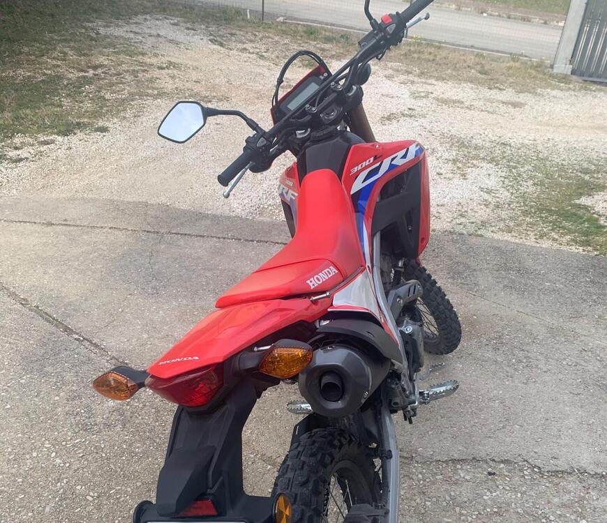 Honda CRF 300 L (2021 - 24) (4)