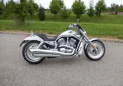 Harley-Davidson 1130 V-Rod (2002 - 05) - VRSCA usata