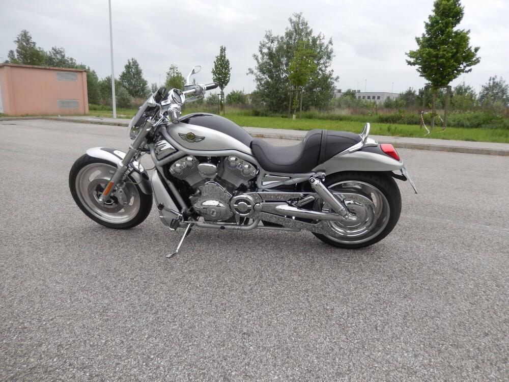 Harley-Davidson 1130 V-Rod (2002 - 05) - VRSCA (3)