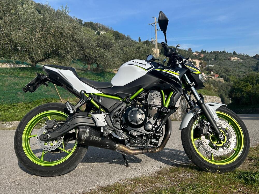 Kawasaki Z 650 Performance (2021 - 24)